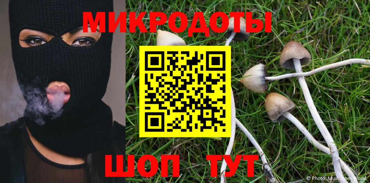Галлюциногенные грибы Cubensis Ахтубинск