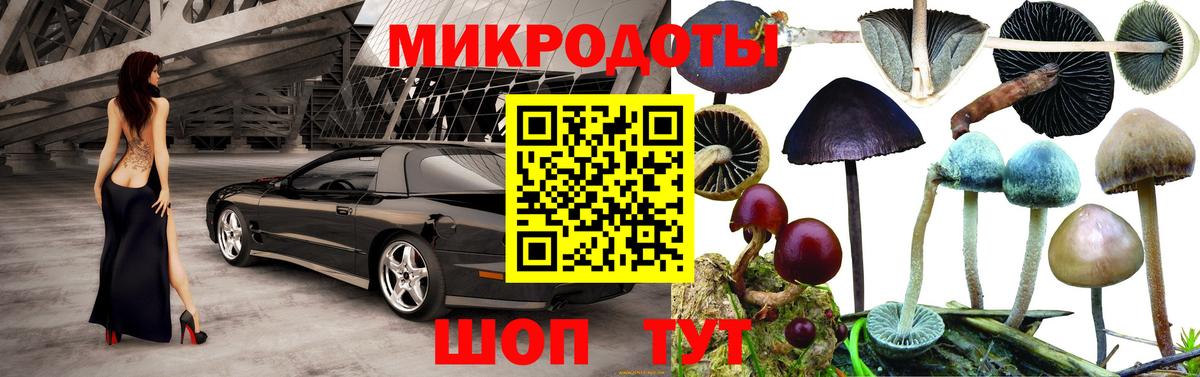 Ахтубинск  Галлюциногенные грибы прущие грибы  Вход с VPN  Псилоцибиновые грибы MAGIC MUSHROOMS 